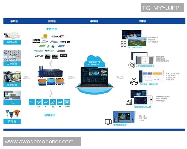 重庆羽毛球队的盯防策略揭秘与深度分析探讨